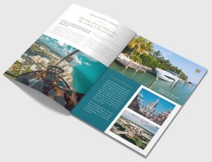 Investormagazin-anfordern