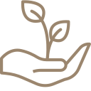 growth (1)